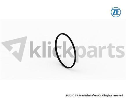 Dichtung ZF 0501.315.625 