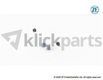 Verschlussteile ZF 0501.219.464 