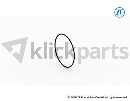 O-Ring ZF 0501.325.436 