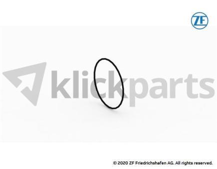 O-Ring ZF 0501.325.439 