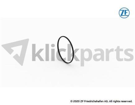 O-Ring ZF 0501.326.275 