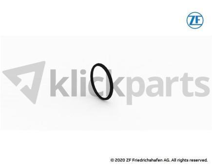O-Ring ZF 0634.303.233 
