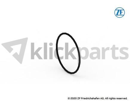 O-Ring ZF 0634.303.719 