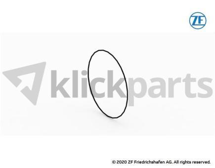 O-ring ZF 0634.304.060 