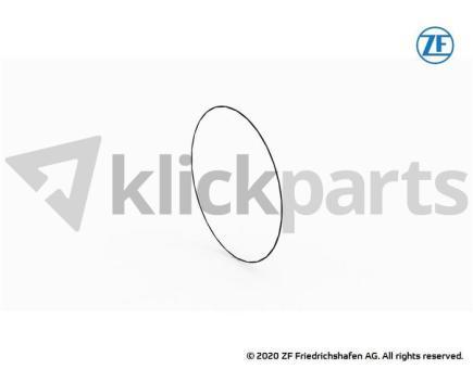 O-Ring ZF 0634.304.669 