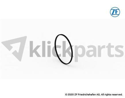 Grooved ring ZF 0634.312.343 