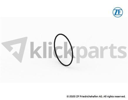 O-Ring ZF 0634.349.606 