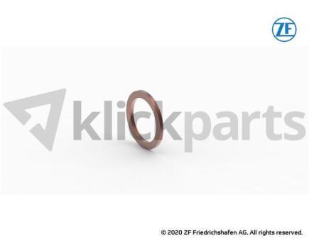 Dichtring ZF 0634.801.063 