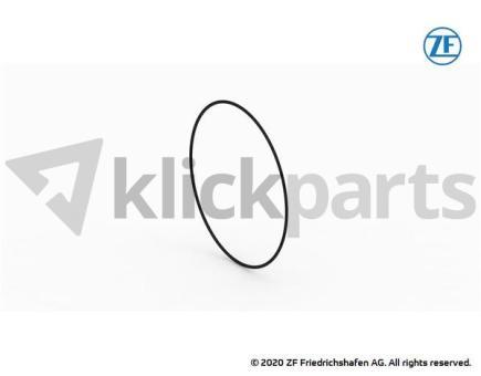 O-Ring ZF 0634.303.045 