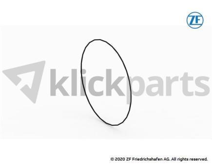 O-Ring ZF 0634.304.135 