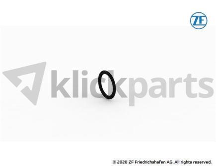 O-Ring ZF 0634.306.213 