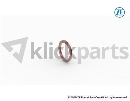 Dichtring ZF 0634.801.038 