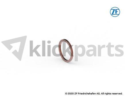 Dichtring ZF 0634.801.200 