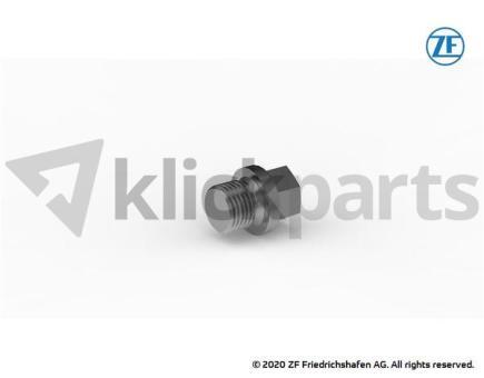 Verschlussschraube ZF 0636.304.019 