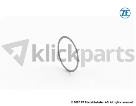 Scheibe ZF 0730.305.418 