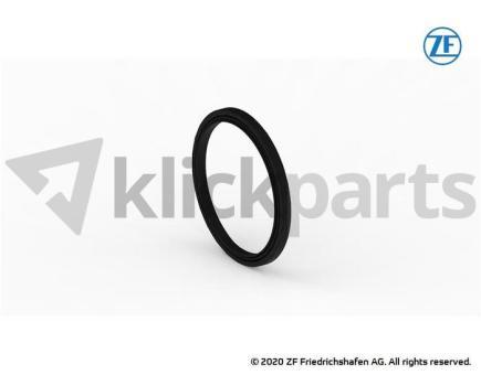 Wellendichtring ZF 0734.309.401 