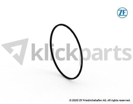 Grooved ring ZF 0734.317.169 