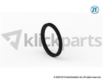 Kombidichtring ZF 0734.300.225 