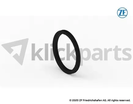 Kombidichtring ZF 0734.300.225 