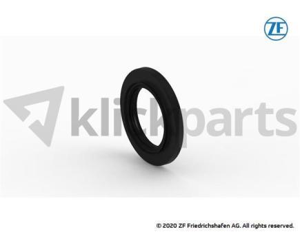 Wellendichtring ZF 0734.300.442 