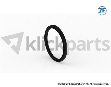 Wellendichtring ZF 0734.309.401 