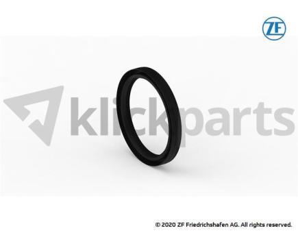 Wellendichtring ZF 0734.319.590 