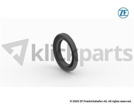 Wellendichtring ZF 0734.319.709 