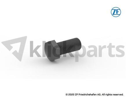 Stop screw ZF 0736.010.047 