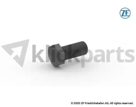 Anschlagschraube ZF 0736.010.047