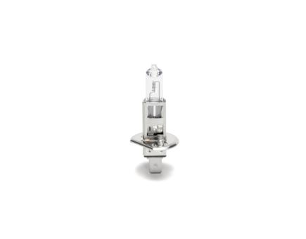 Würth Halogenlampe NFZ Longlife Heavy Duty H1 P14,5S 10er Pack