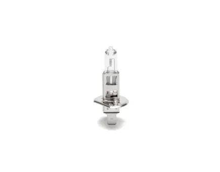 Würth Halogenlampe NFZ Longlife Heavy Duty H1 P14,5S 10er Pack 