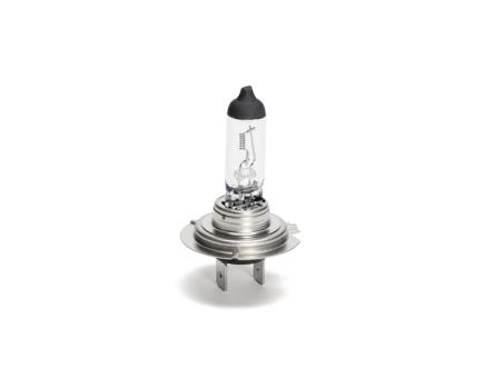 Würth Halogenlampe NFZ Longlife Heavy Duty H7 PX26D 10er Pack 