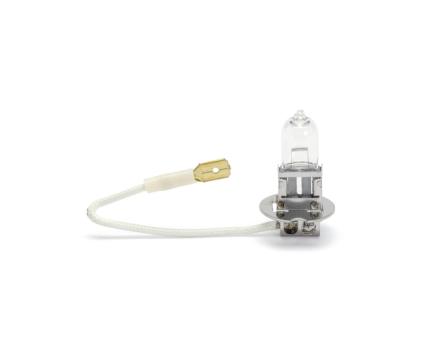 Würth Halogenlampe KFZ Standard H3 PK22S 10er Pack