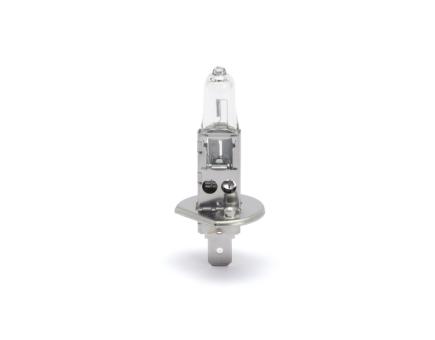 Würth Halogenlampe KFZ Standard H1 P14,5S 10er Pack 