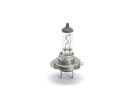 Würth Halogenlampe NFZ Standard H7 PX26D 10er Pack
