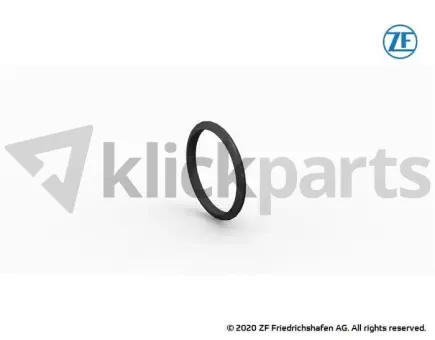Dichtring ZF 8465.033.106 