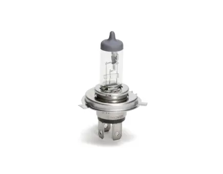 Würth Halogenlampe NFZ Longlife Heavy Duty H4 P43T 75/70W 10er Pack 
