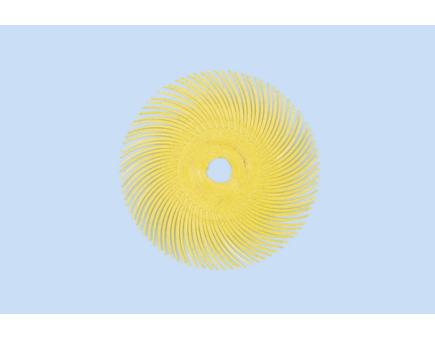 Würth Radial-Bristle-Disc BRISTLEDISC GELB K80 10er Pack 