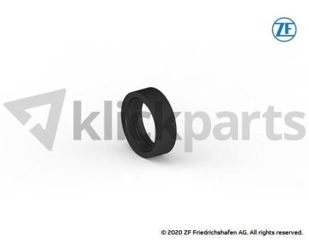 morepic-2