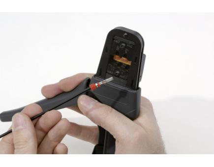 morepic-2