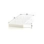 morepic-2