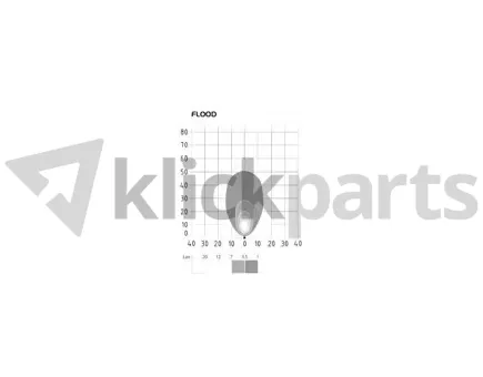 morepic-3