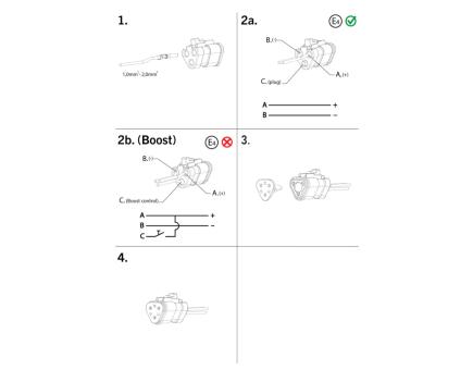 morepic-4