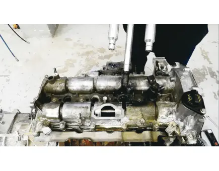 morepic-4