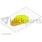 morepic-4