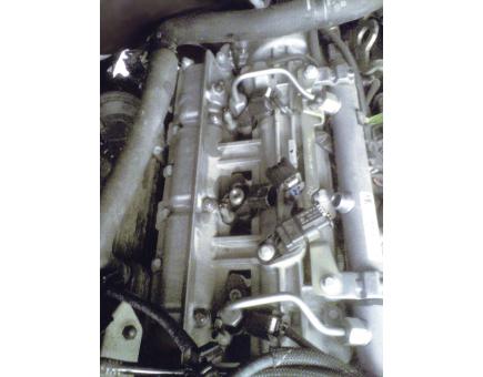 morepic-6